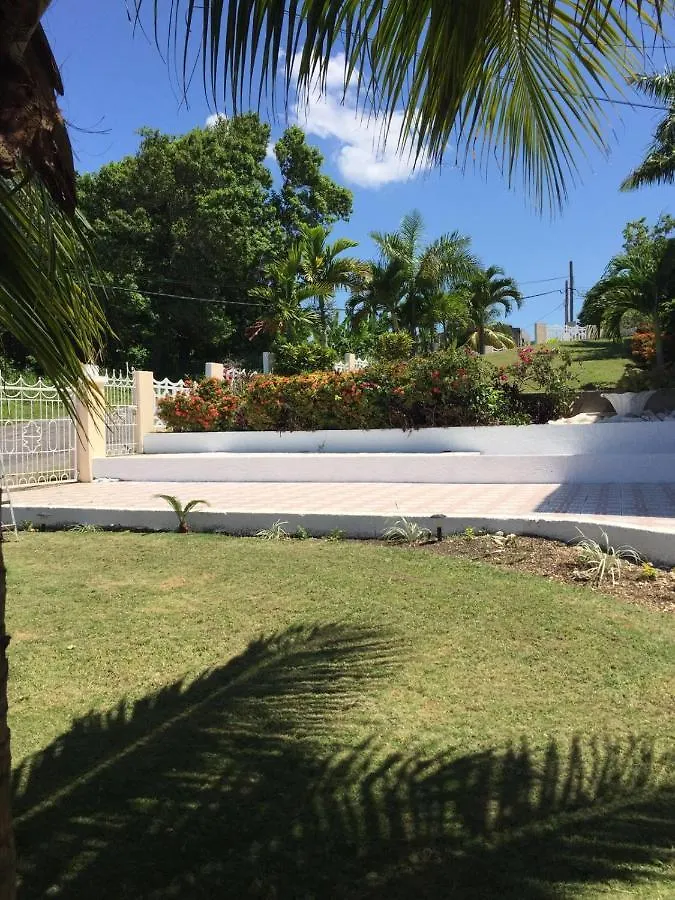 Goldenview Guesthouse Ocho Rios 0*,  Jamaica